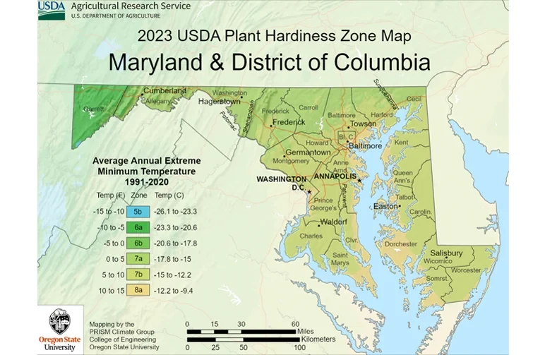 2023 USDA Plant Hardiness Zone Map for Maryland and DC showing climate zones 6a through 8a to help outdoor growers determine planting and harvest dates.