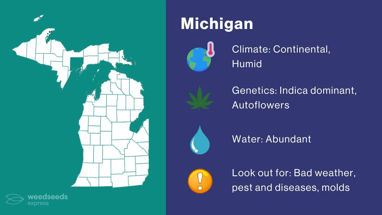 Cannabis Growing Climate in Michigan