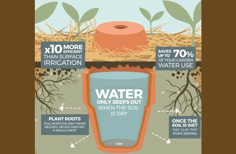 Eine Infografik, die erklärt, wie eine vergrabene Terrakotta-Olla als passive Bewässerung funktioniert, wobei Wasser durch poröse Tonwände sickert und die Pflanzenwurzeln nur erreicht, wenn der Boden trocken ist.