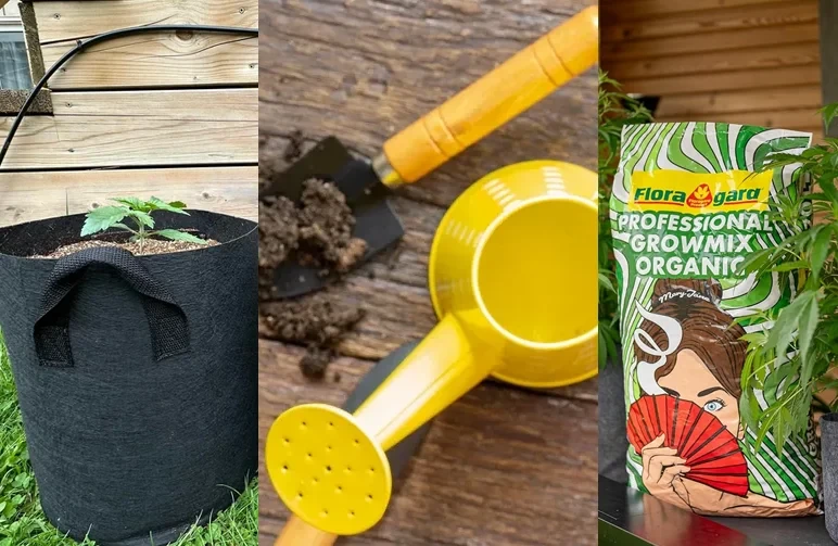 A composite image showing a young cannabis plant in a black fabric pot, a yellow watering can with a garden trowel, and a bag of professional organic grow mix.