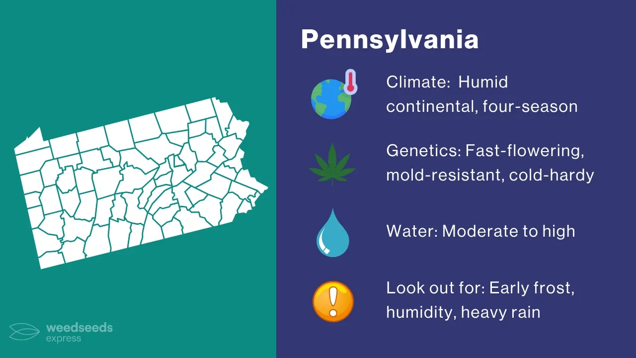 Pennsylvania Cannabis Climate