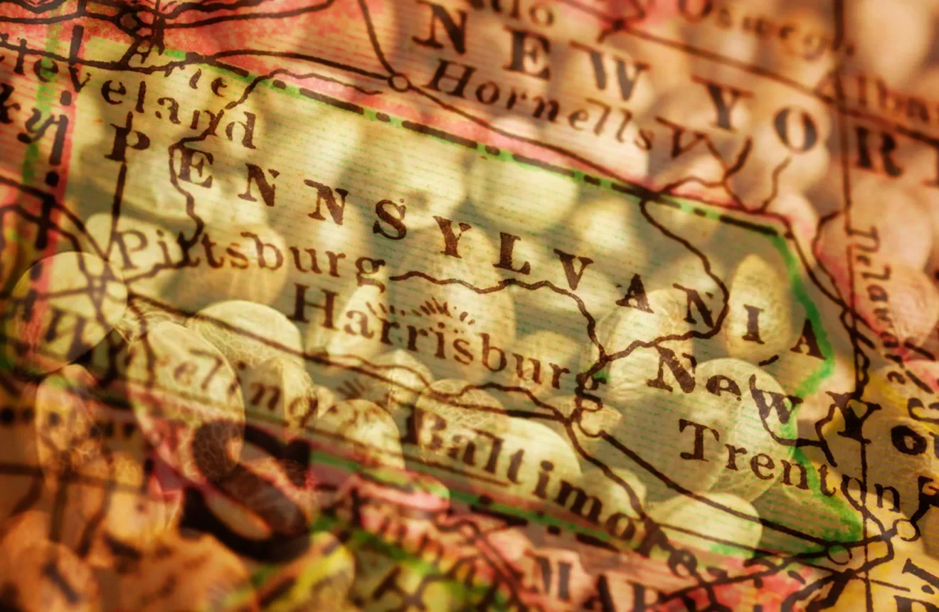 Best Strains to Grow in Pennsylvania (2026): An Expert Grower's Guide