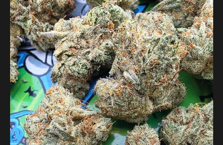 Extreme close-up of dense, resin-coated cannabis flower showing the results of a perfect dry and cure.