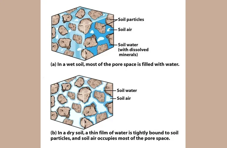 Un schéma scientifique comparant les espaces poreux d’un sol humide vs un sol sec, montrant comment l’eau remplit les interstices dans le sol humide et comment l’air remplit les interstices dans le sol sec pour permettre aux racines de respirer.