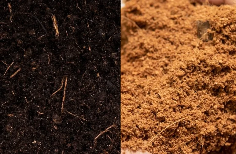 A side-by-side close-up comparison of growing mediums. The left shows dark, chunky organic potting soil, while the right shows light brown, fibrous coconut coir.