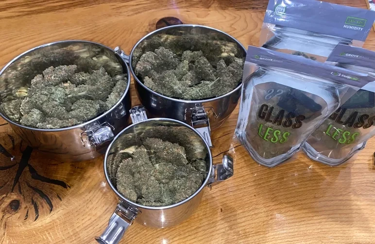 Trois contenants professionnels hermétiques en acier inoxydable et des sacs spécialisés antistatiques remplis de grosses têtes de cannabis affinées.