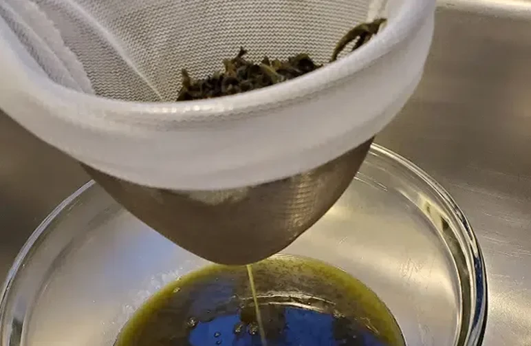 Infundiertes Cannabisöl, das durch einen weißen Mesh-Filter in eine Glasschüssel abgeseiht wird, wobei die dunkelgrüne Flüssigkeit vom Pflanzen-Trim getrennt wird.