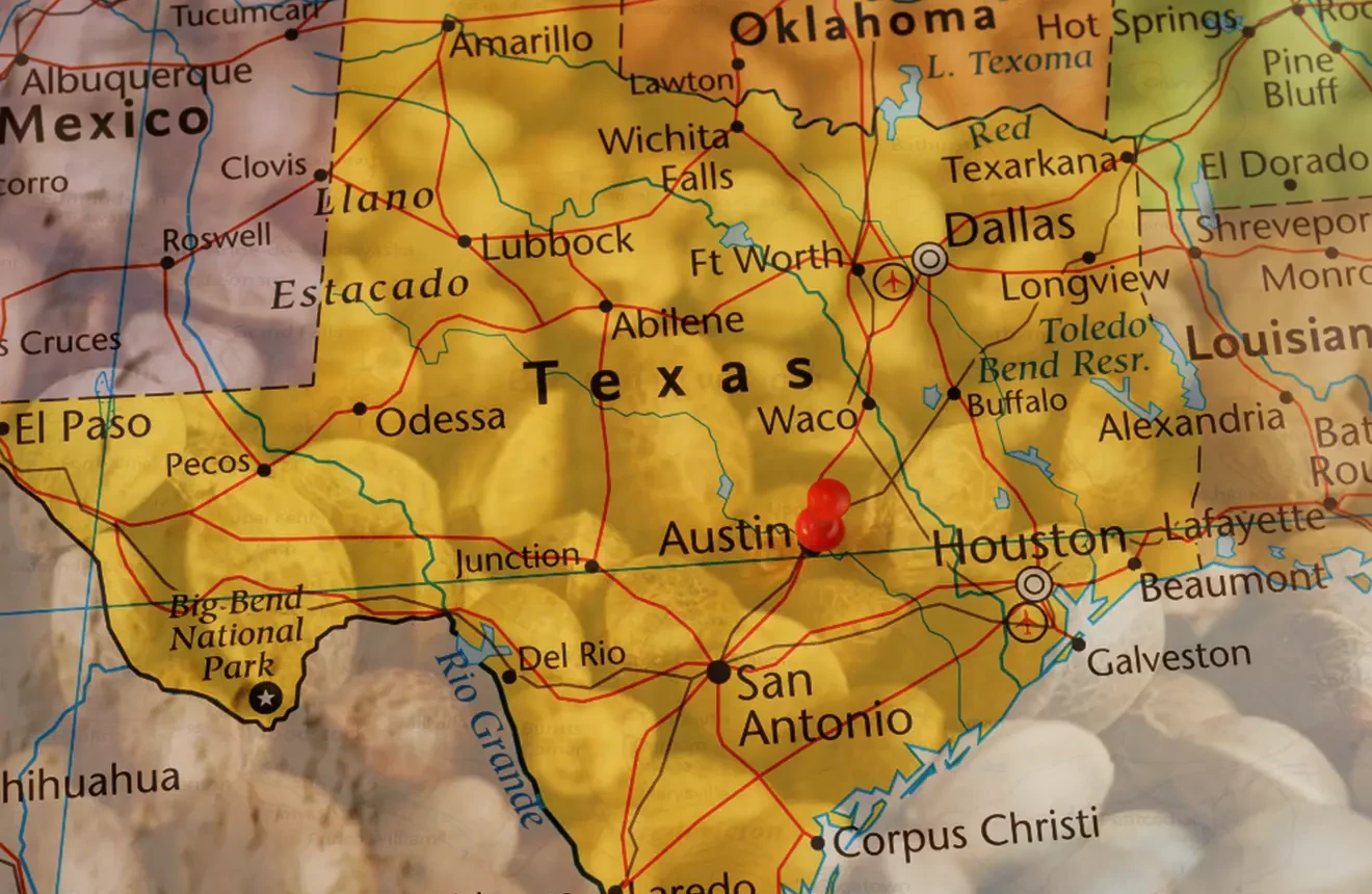 Best Strains to Grow in Texas (2026): An Expert Grower's Guide