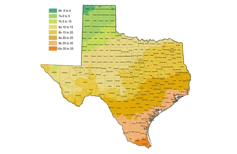 A detailed map of Texas showing USDA Hardiness Zones 6b through 10a with color-coded regions and county names, used for determining the best cannabis strains to grow in Texas.