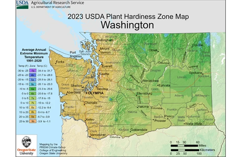 A 2023 USDA Plant Hardiness Zone Map of Washington State showing the temperature and climate differences between Western and Eastern Washington, divided by the Cascade Mountain Range.