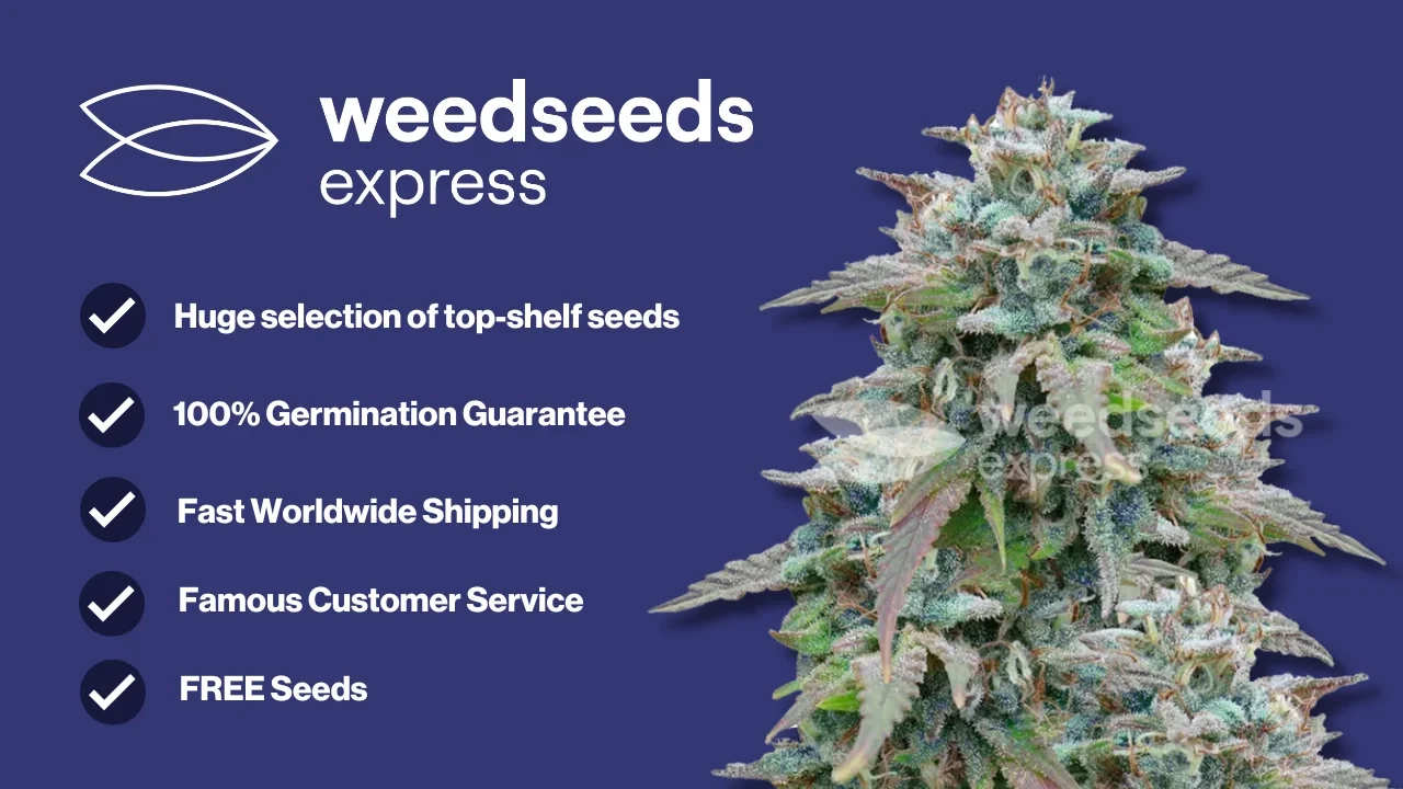 An image of a checklist on why you should buy from Weedseedsexpress