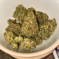 thumb of Black Domina Feminized by WeedSeedsExpress grown by spyder