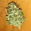 thumb of Godfather OG by WeedSeedsExpress grown by RebelMove