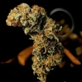 thumb of Lithium OG Kush by WeedSeedsExpress grown by Zurban_Poison