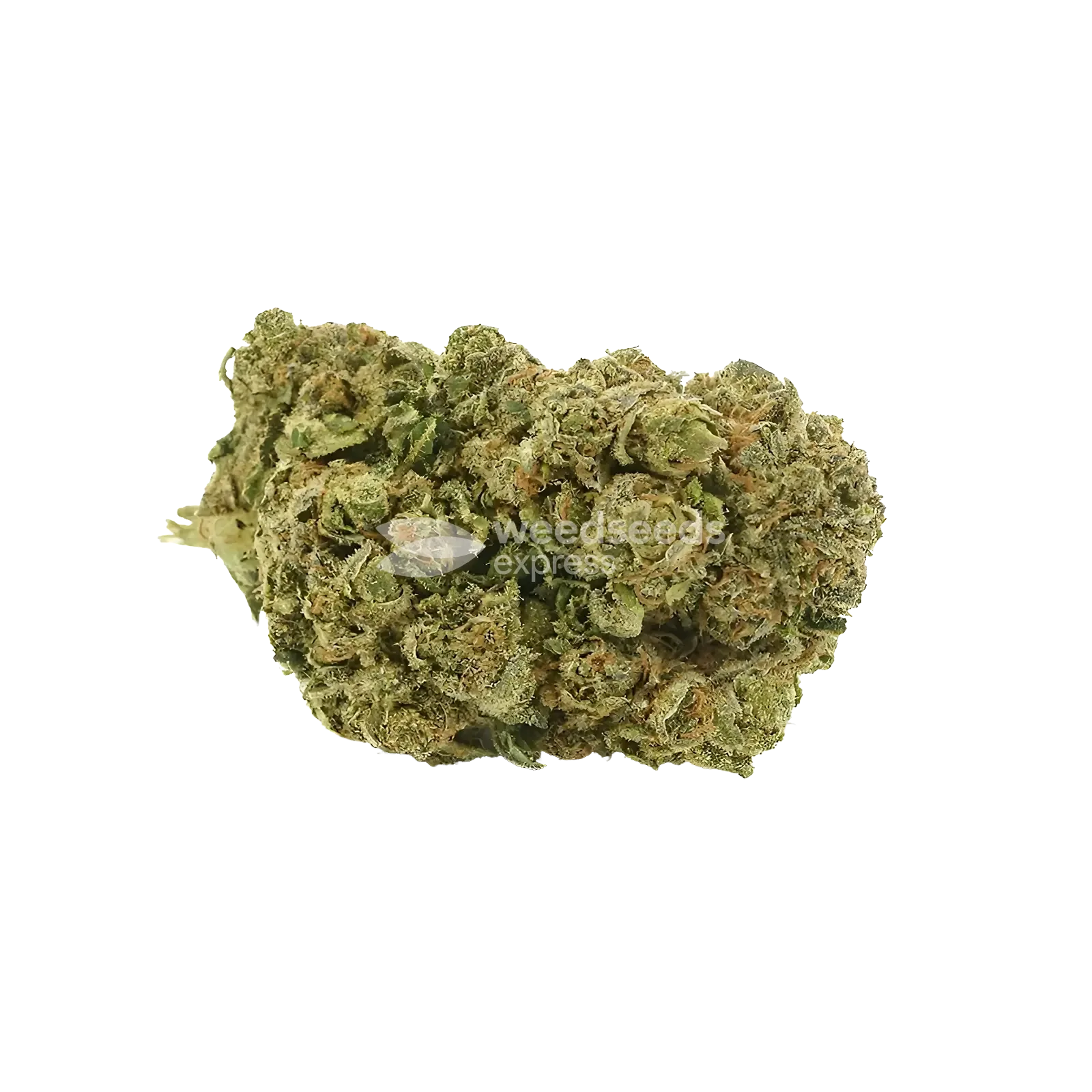 Blue Cheese Bud