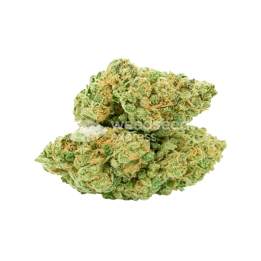 Blue Dream Auto Bud