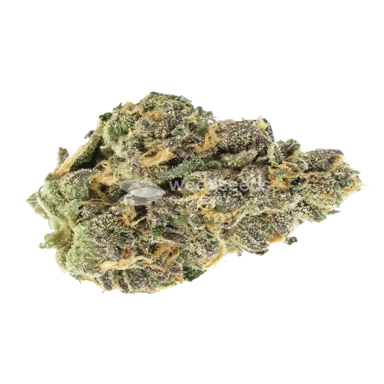 Blueberry Kush Bud