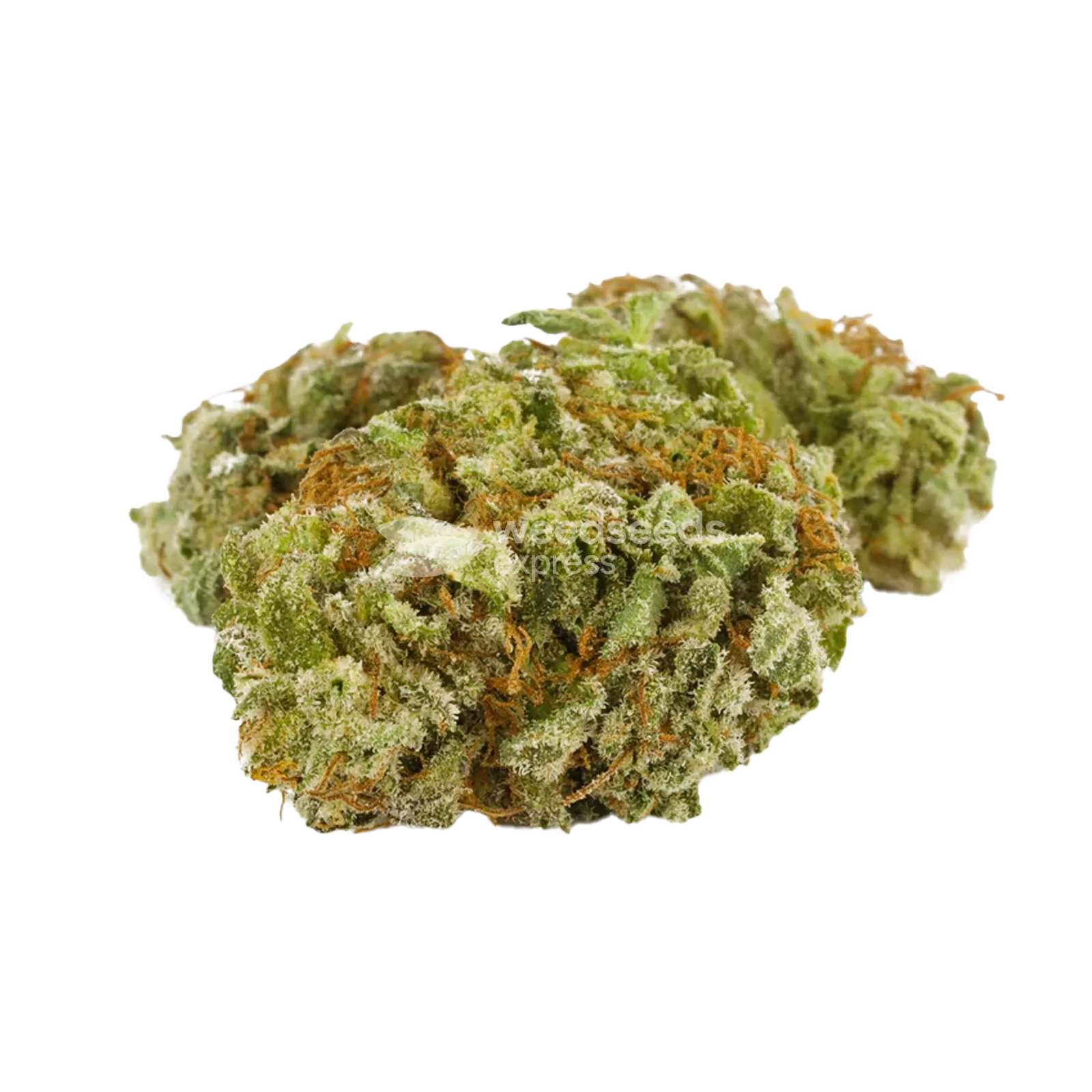 Doug's Varin Cannabis Bud