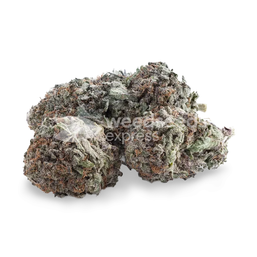 Tête Durban Poison
