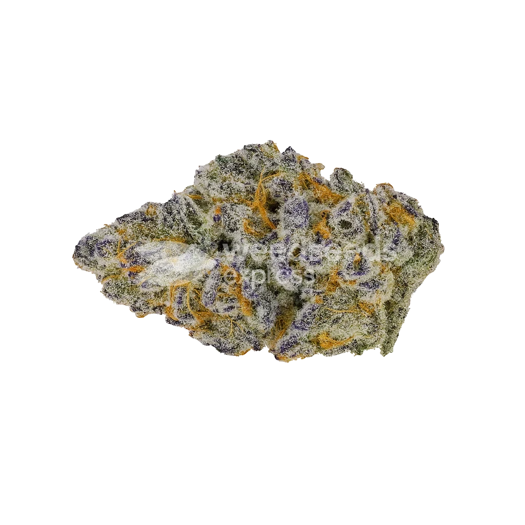 Future #1 Autoflower Cannabis Bud