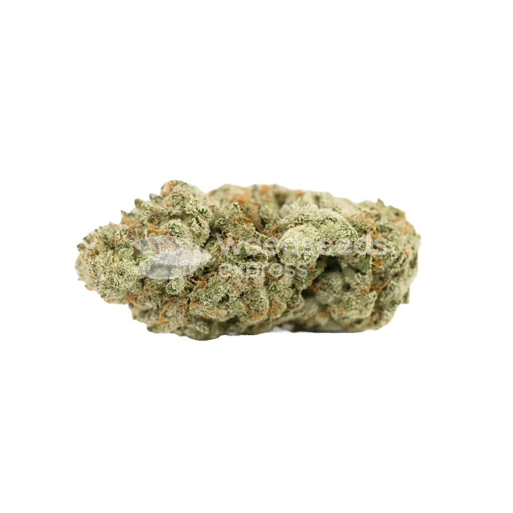 Gorilla Glue Auto Bud