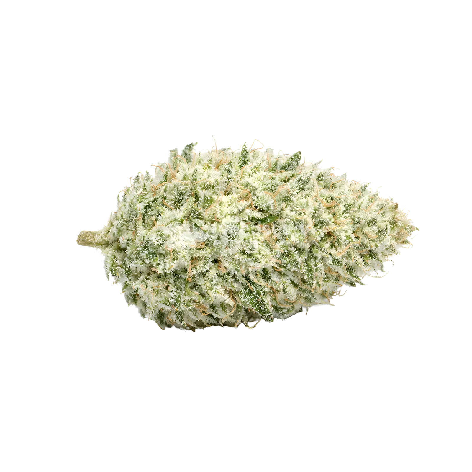 Lamb's Bread Autoflower Cannabis Bud