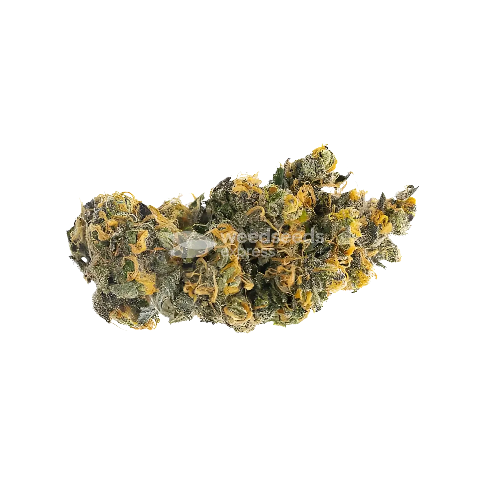 London Pound Cake Bud