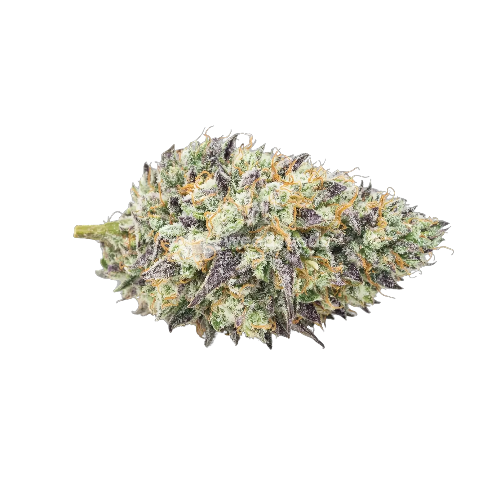 Mendo Breath -Cannabisblüte