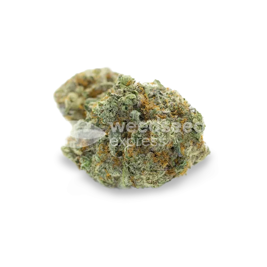 OG Kush Cannabis Bud
