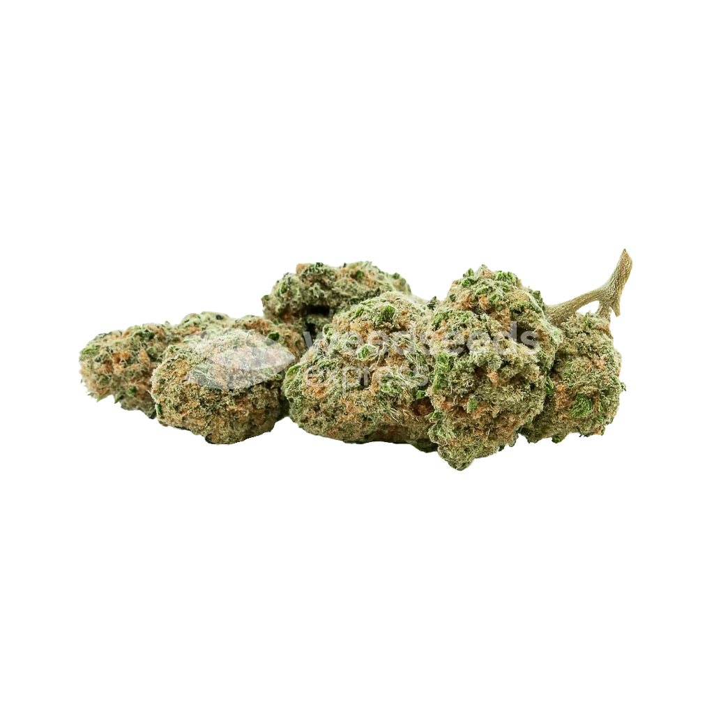 Pineapple Express Pineapple Express Strain | Popular Cannabis Choice