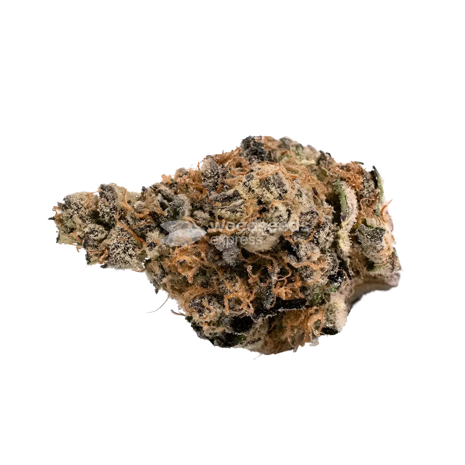 Slurricane Bud