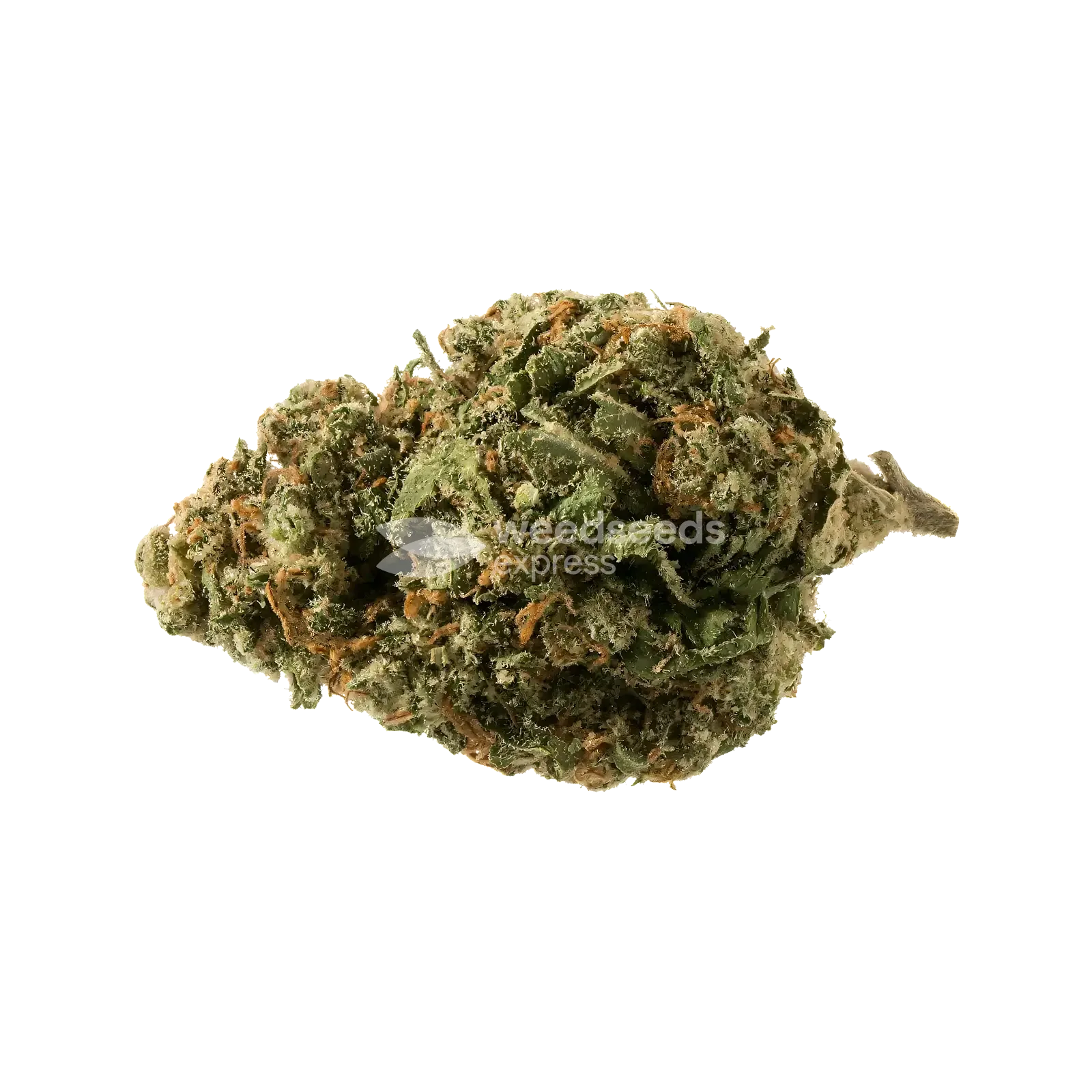 Sundae Driver Bud