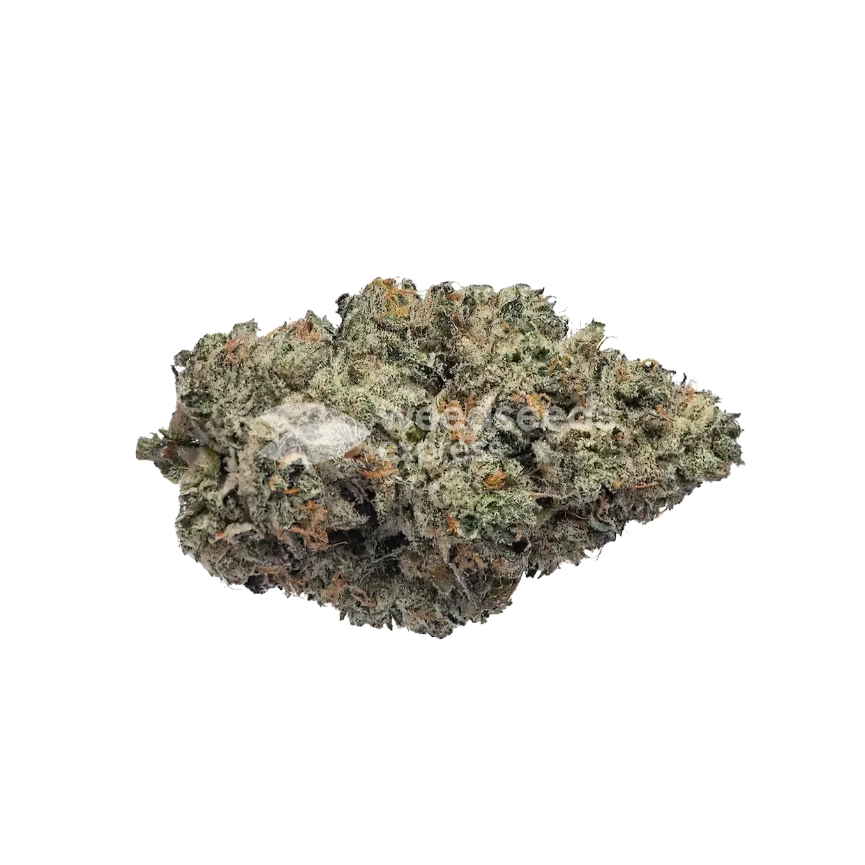 The Toad Cannabis Bud