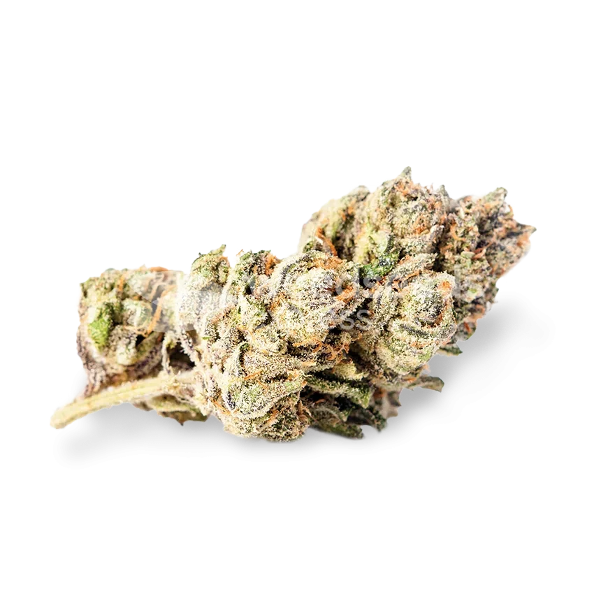 Zkittlez Autoflower Cannabis Blüte