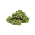 thumb of ACDC Auto Bud