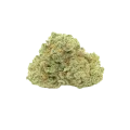 thumb of Amnesia Haze Auto Bud