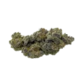 thumb of Animal Face Auto Bud