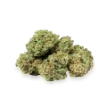 thumb of Apple Fritter bud