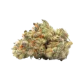 thumb of Australian Gold Bud