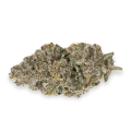 thumb of Biscotti Bud