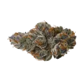 thumb of Black Runtz Auto Bud