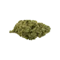 thumb of Black Widow Auto Bud