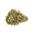 thumb of Bubblegum Sherbet Auto Bud