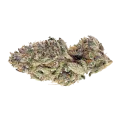 thumb of Bubblegum Sherbet Bud