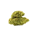 thumb of C. Banana Auto Bud