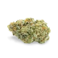 thumb of CBD Critical Mass bud