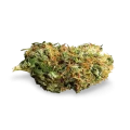 thumb of CBD Diesel bud