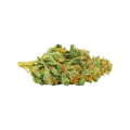 thumb of CBD Express Auto Bud