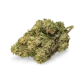 thumb of CBD Kush bud