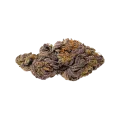 thumb of CBD Purple Kush Auto Bud